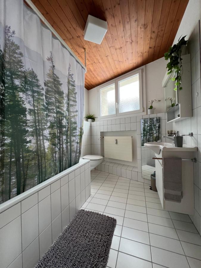 Ferienwohnung Dorfzentrum Disentis Exteriér fotografie